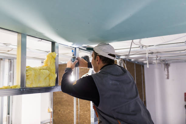 Types of Insulation We Offer in New Haven, WV