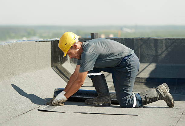 Best Insulation Maintenance and Repair in New Haven, WV