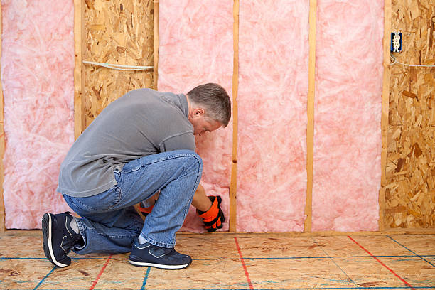 Best Residential Insulation in New Haven, WV