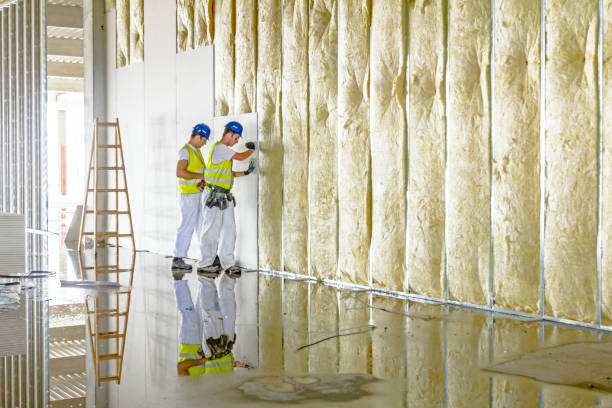 Professional Insulation Contractor in New Haven, WV
